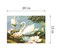 Needlepoint canvas for halfstitch without yarn Canvas The Swans SE929.119 Seg De Paris Printed Tapestry Canvas
